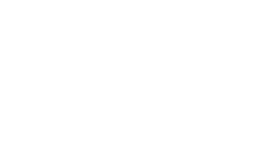 Buysse & Partners logo