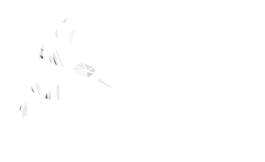 pricing pact white