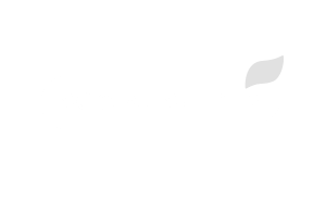social seeder